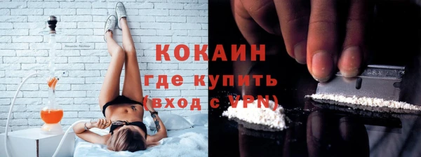 индика Алзамай