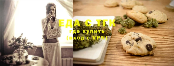 индика Алзамай