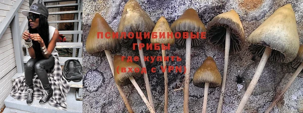 дживик Алексин