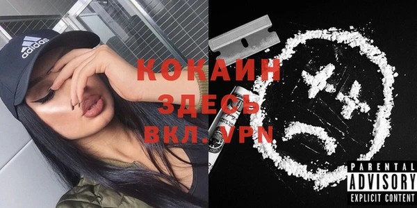 индика Алзамай