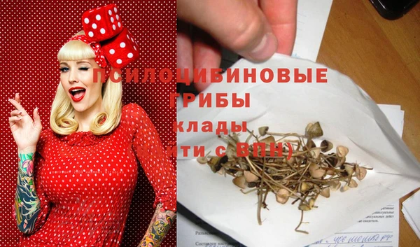 амфетамин Алексеевка