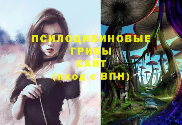 дживик Алексин