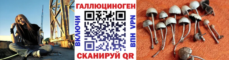 Псилоцибиновые грибы GOLDEN TEACHER  продажа наркотиков  Данилов 